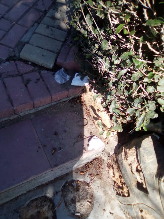 Gartenanlage Oz Hotels Incekum Beach