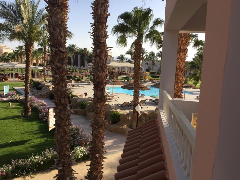 Pool Beach Albatros Resort