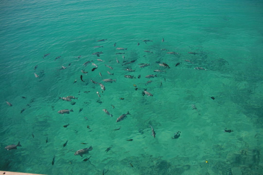 Am Strand Kuramathi Maldives