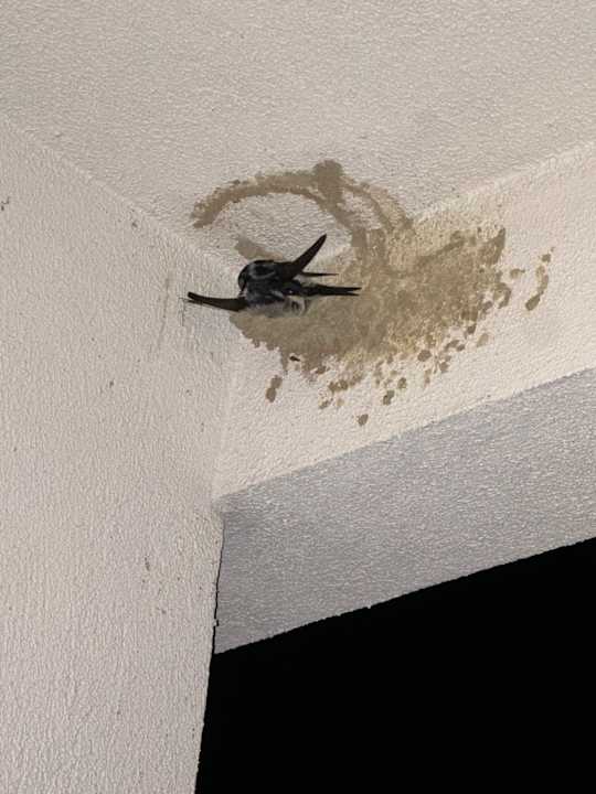 Zimmer Seaden Sea World Resort & Spa