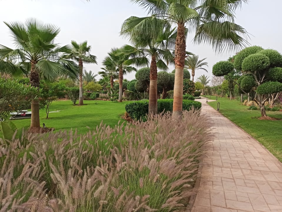 Gartenanlage Be Live Collection Marrakech - Adults only