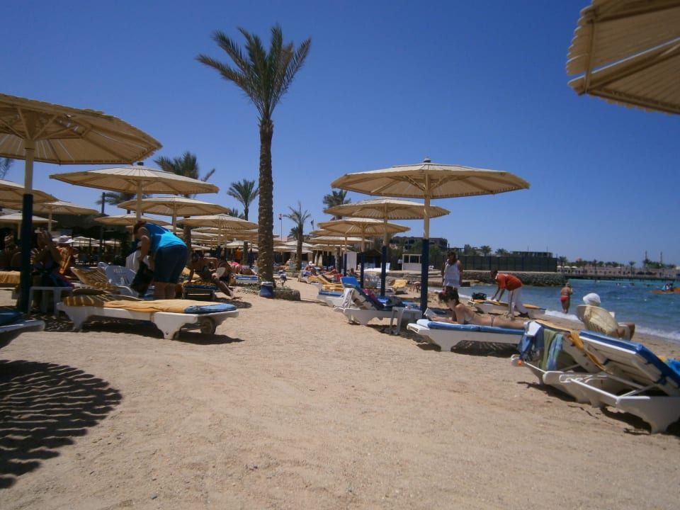Strand Seagull Beach Resort