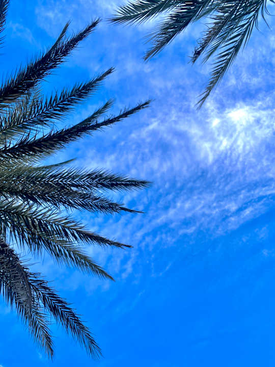 Sonstiges ROBINSON QUINTA DA RIA