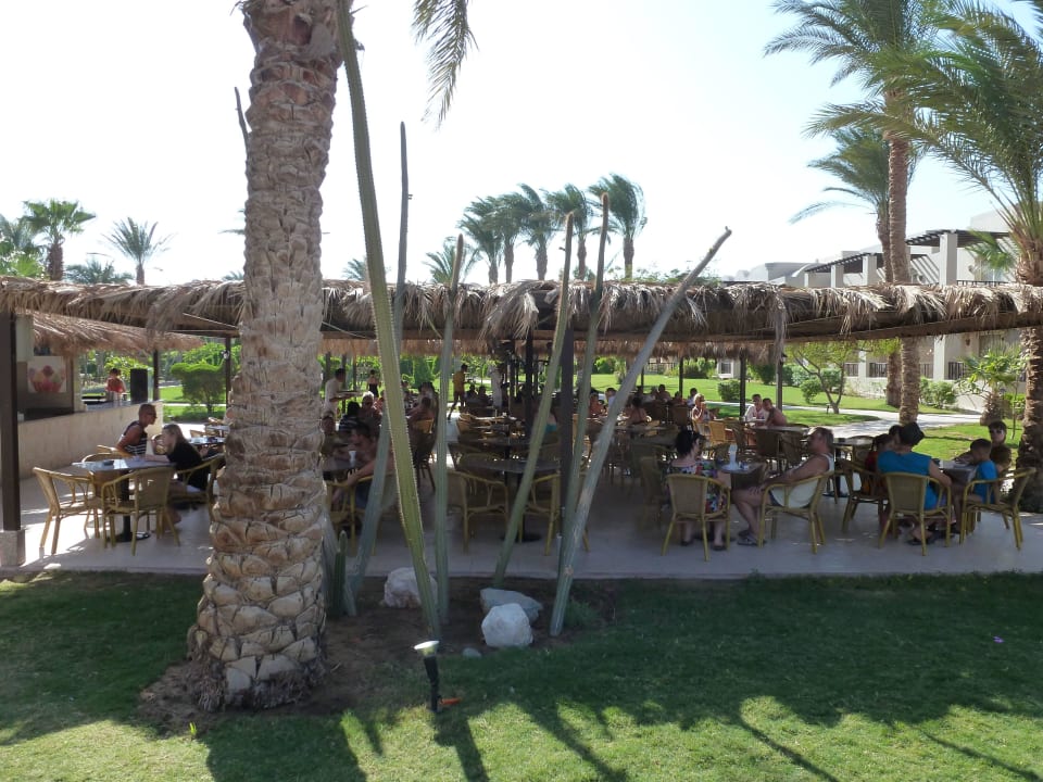 Sneck Bar                                          Jaz Makadi Oasis Resort