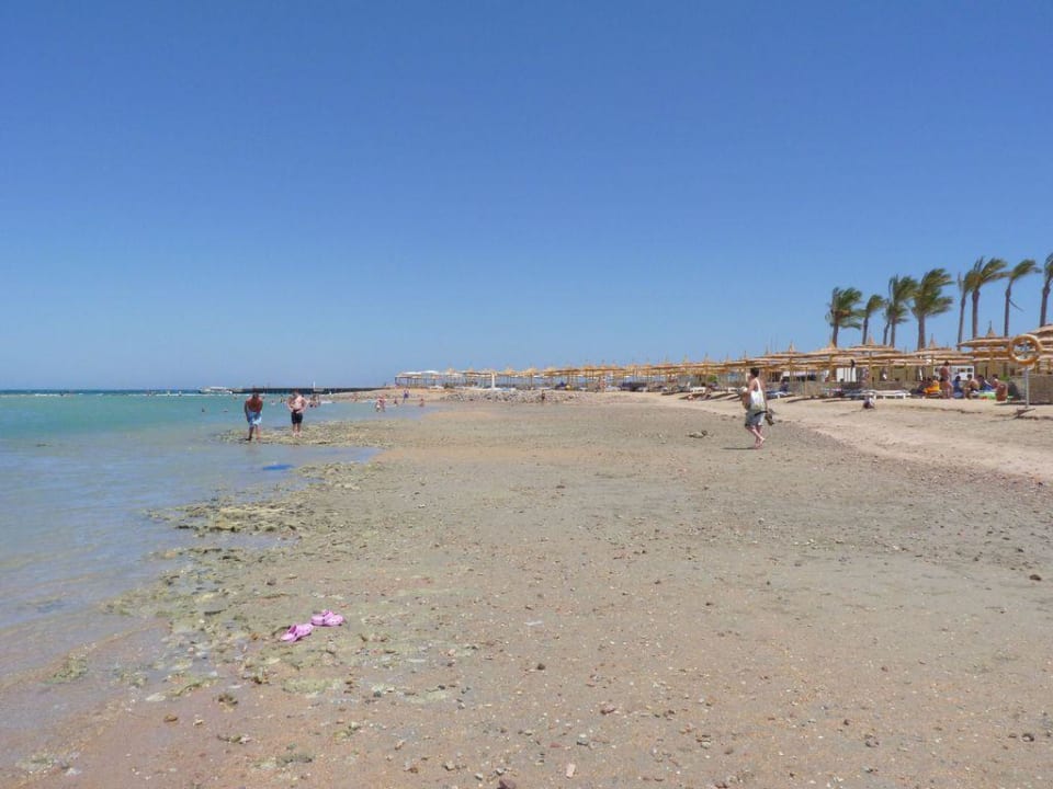 Strand Dana Beach Pickalbatros Jungle Aqua Park Resort - Neverland Hurghada