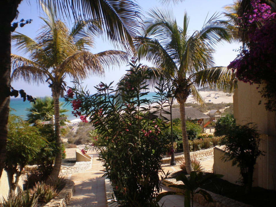 Weg zum Strand SBH Hotel Taro Beach