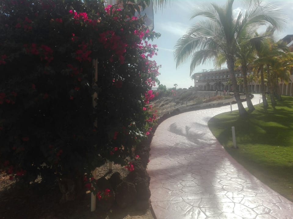 Außenansicht Iberostar Selection Fuerteventura Palace