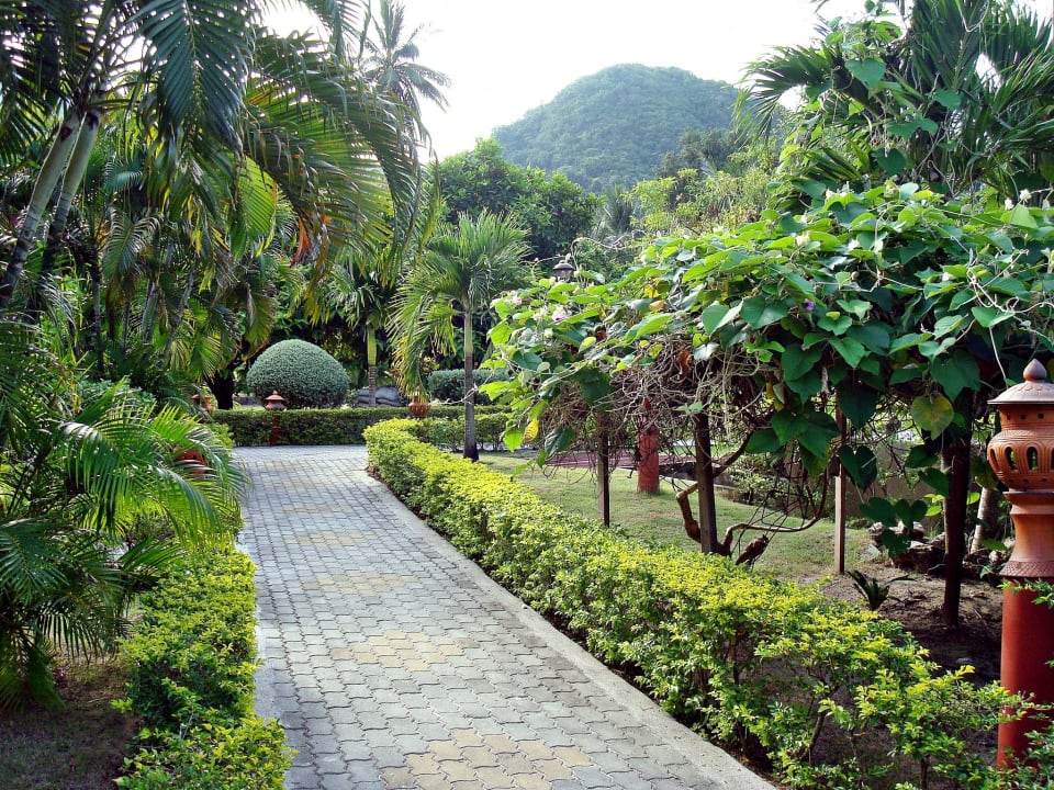 Weg durch den Garten Long Bay Resort Koh Phangan