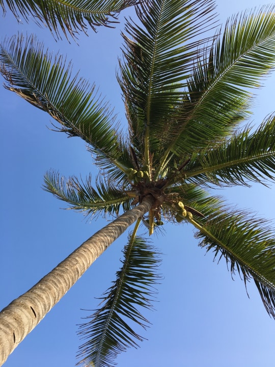 Außenansicht Maria Del Mar Tulum