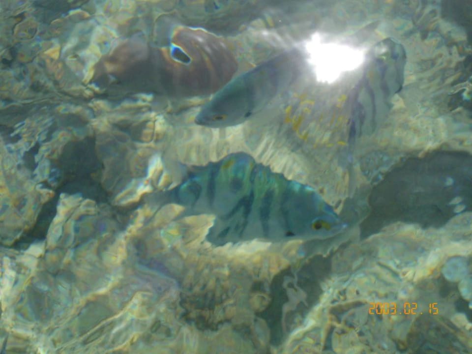 Rafa Sultan Gardens Resort