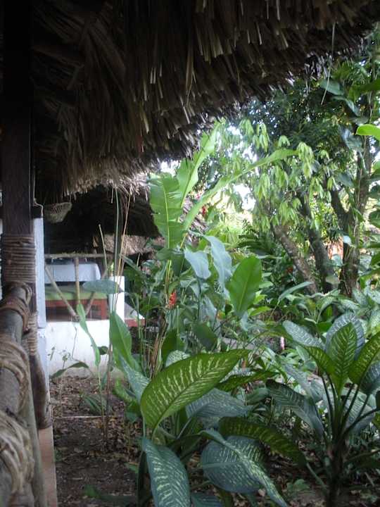 Alles Grün Hotel Jardines la Aldea