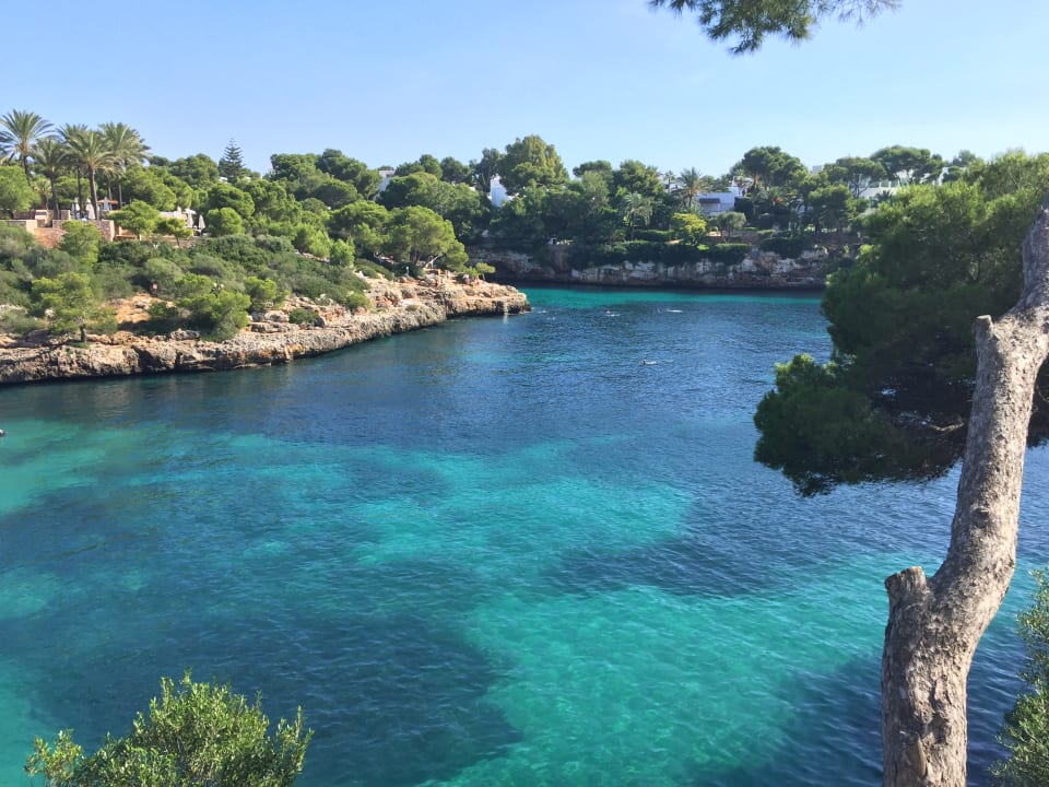 Ausblick Cabot Cala Ferrera