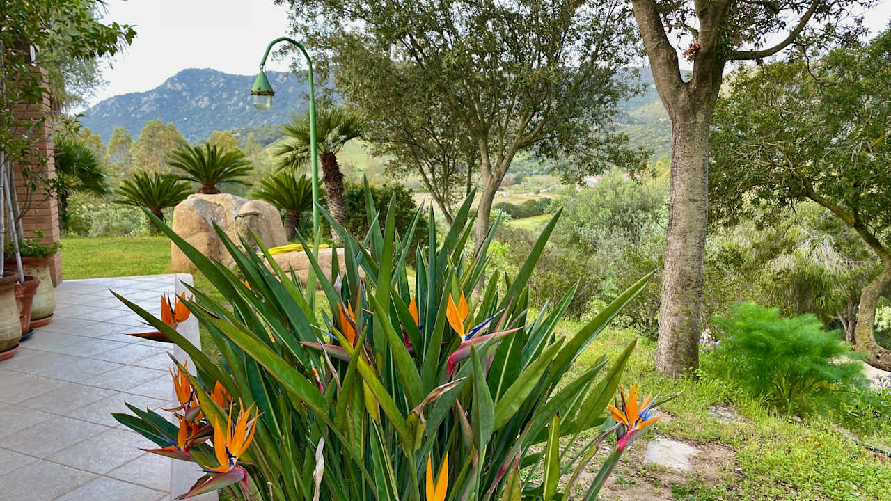 Außenansicht Casa Vacanze Teulada