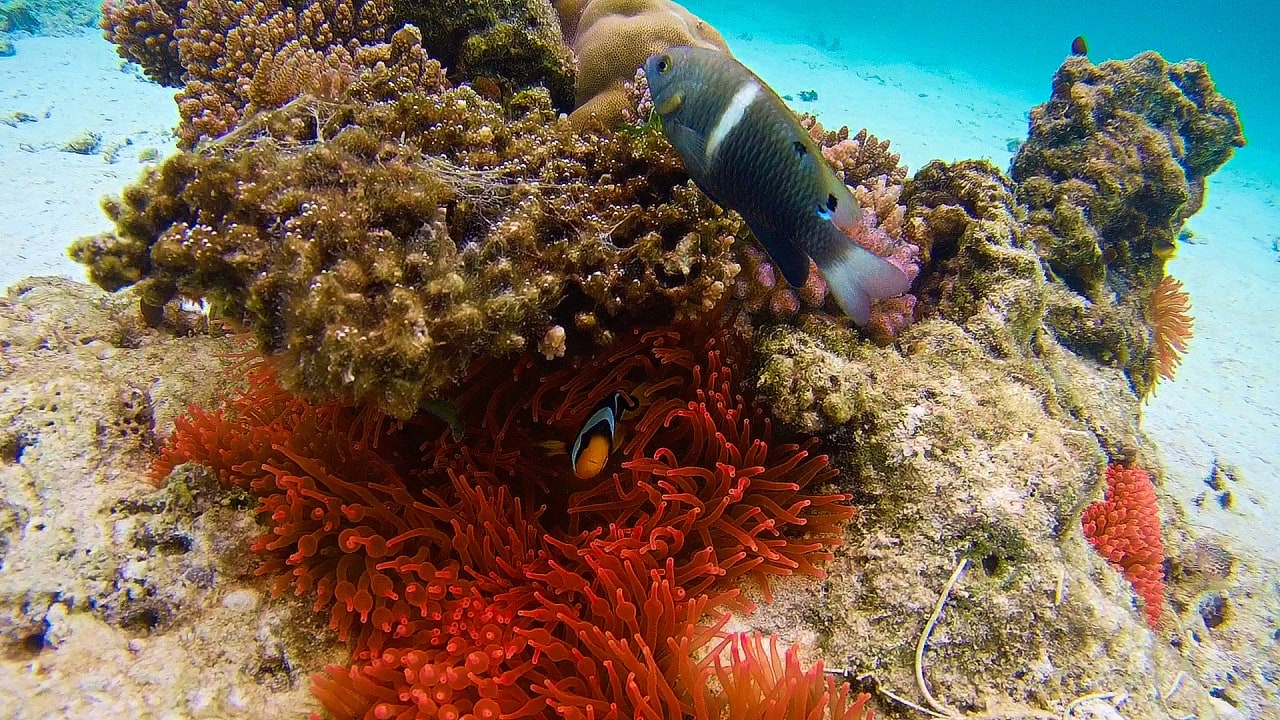 Sport & Freizeit Summer Island Maldives