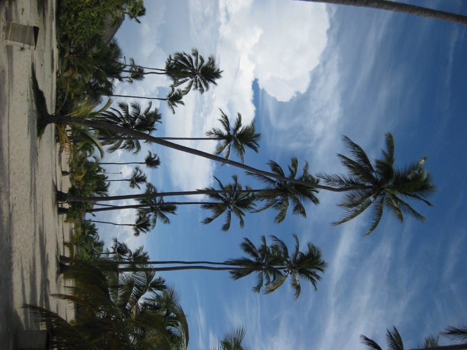 Weg zw. Strand & Hotel Villas Bavaro Resort & Spa