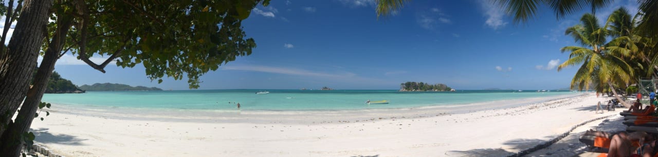 Welch ein Tag Paradise Sun