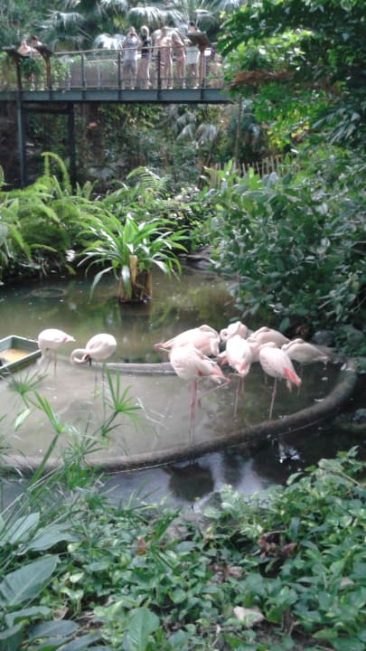 Sehr schöne Gartenanlage Tropical Islands Resort