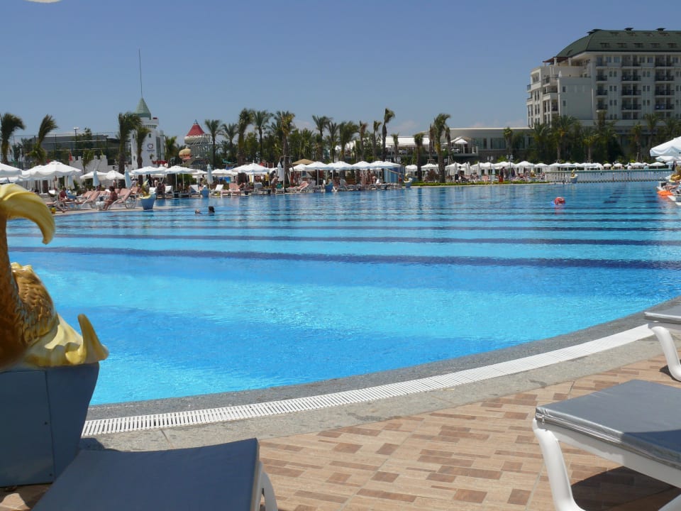 Pool Hotel Delphin Imperial