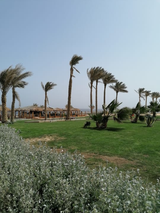 Gastro Three Corners Sea Beach Resort