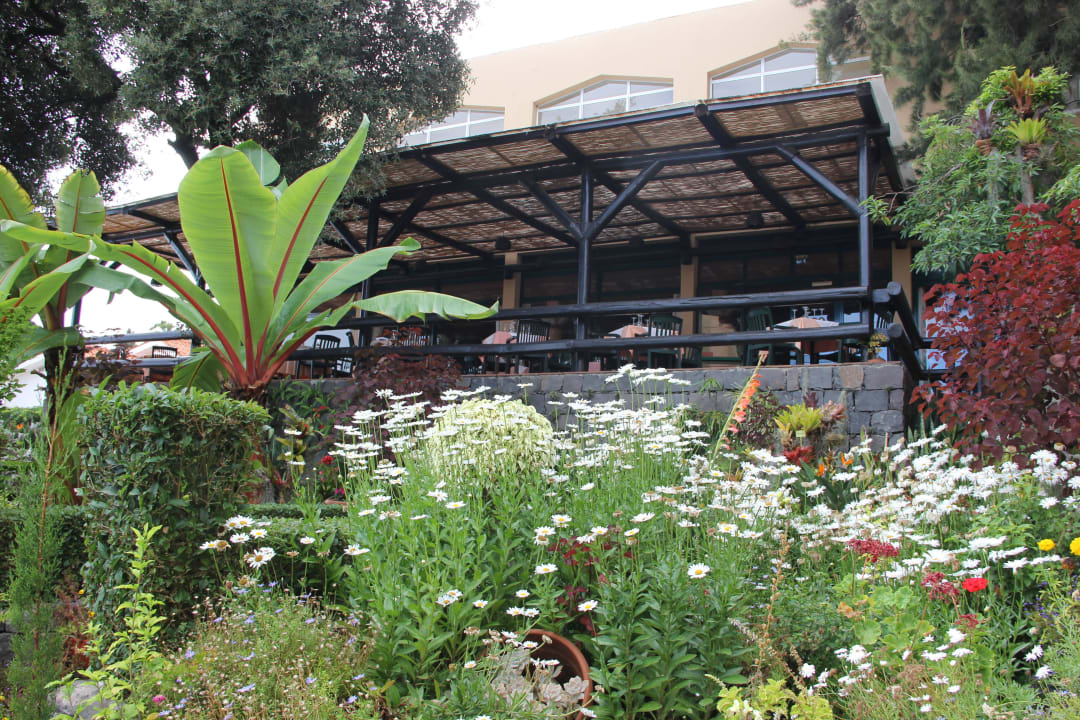 Terrasse Hotel Dom Pedro Garajau