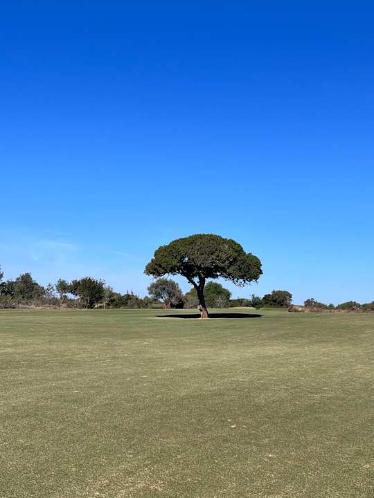 Sport & Freizeit The Westin Resort Costa Navarino