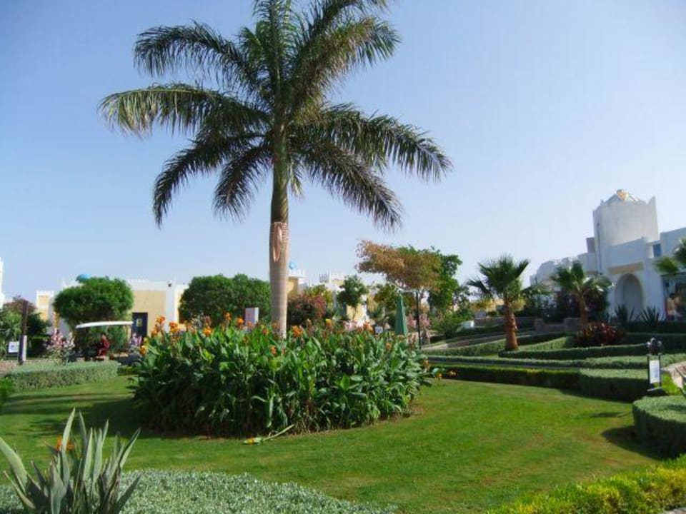 Ogrod, teren hotelu Mirage Bay Resort & Aqua Park