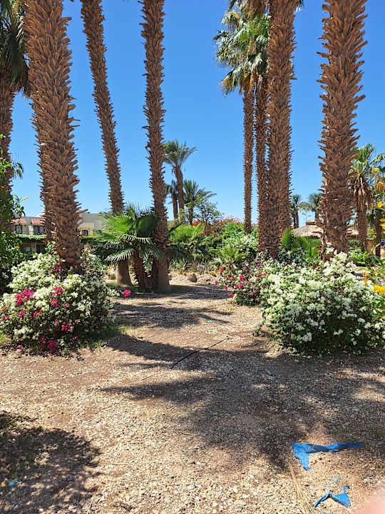 Gartenanlage Lotus Bay Beach Resort