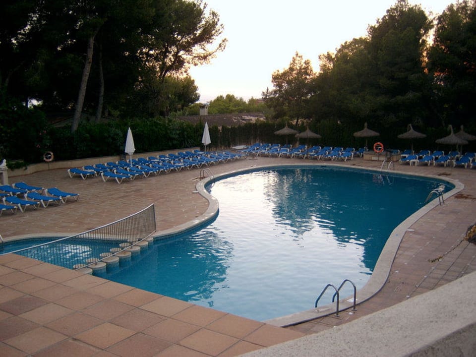 Pool Grupotel Orient