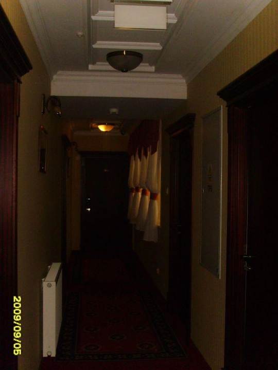 Inny motyw hotelu Hotel Branicki