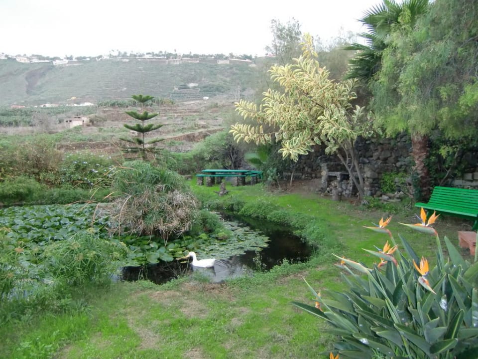 Gartenbereich der Finca Finca El Rincon