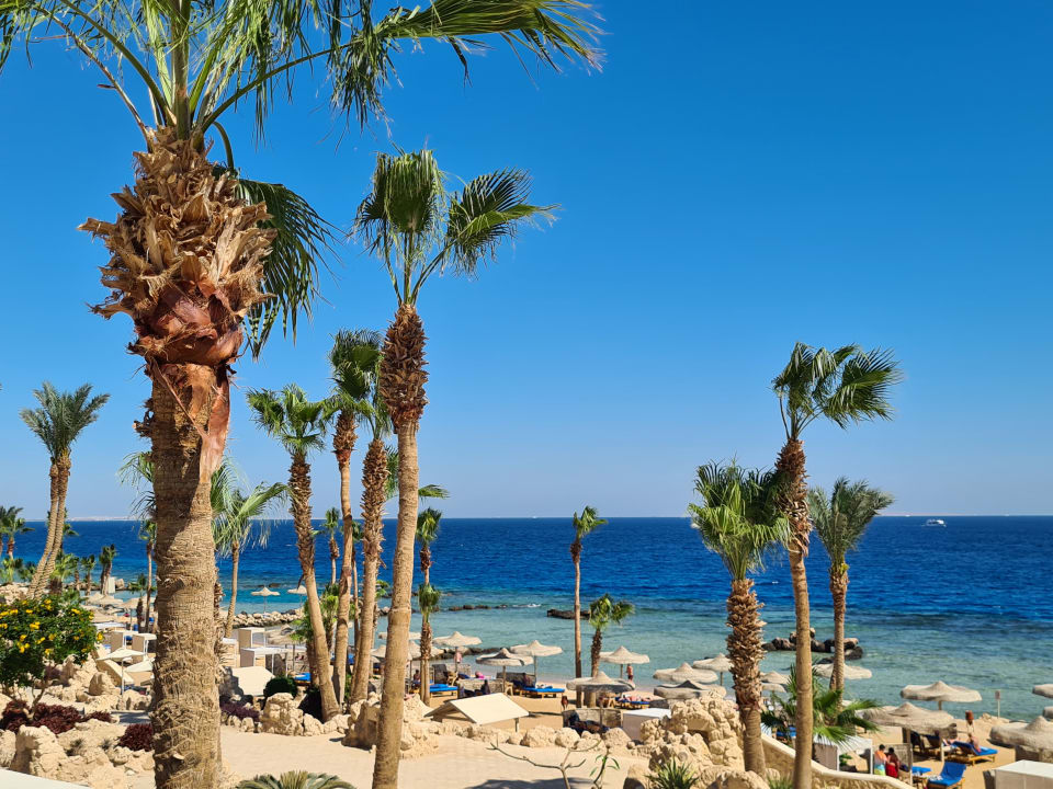 Strand Pickalbatros Citadel Resort