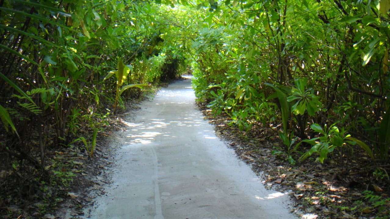 Previously on lost Gili Lankanfushi Resort