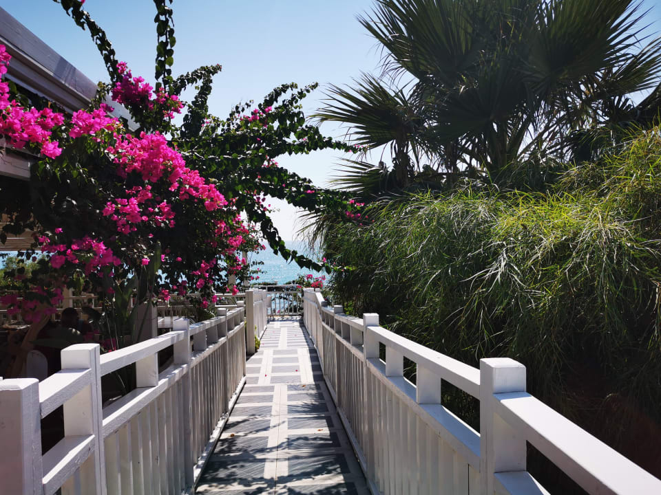 Gartenanlage Can Garden Resort