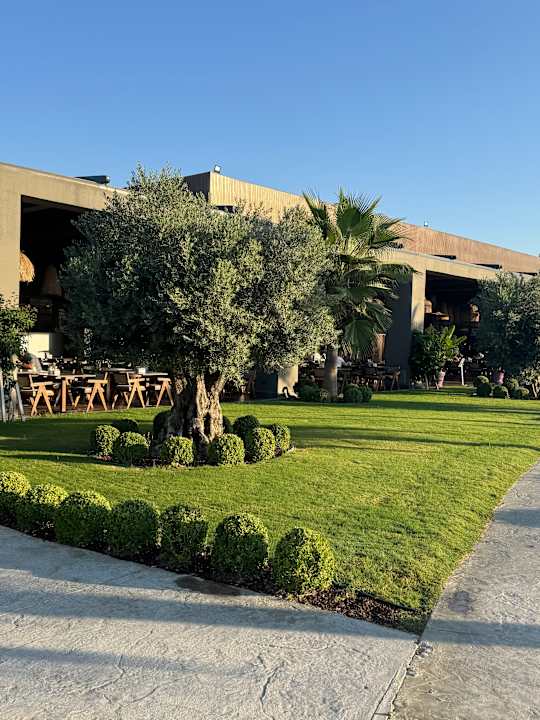 Gartenanlage Jacaranda Luxury Resort