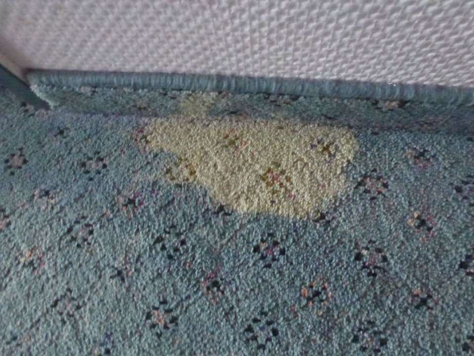 Nicht schön, aber sauber  Congress Hotel Weimar by Mercure