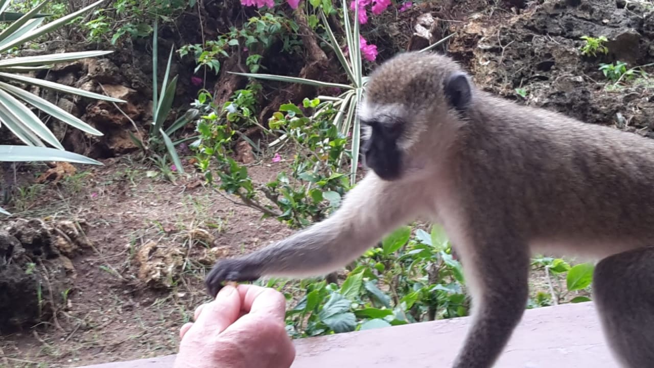 Sonstiges Bahari Beach Hotel