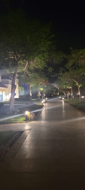 Gartenanlage Jaz Bluemarine