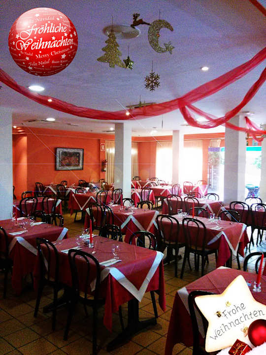 Feliz Navidad 2014 Caleta Garden