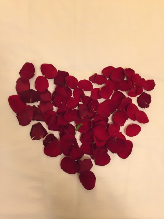 Zimmer Boutique Hotel Am Stephansplatz