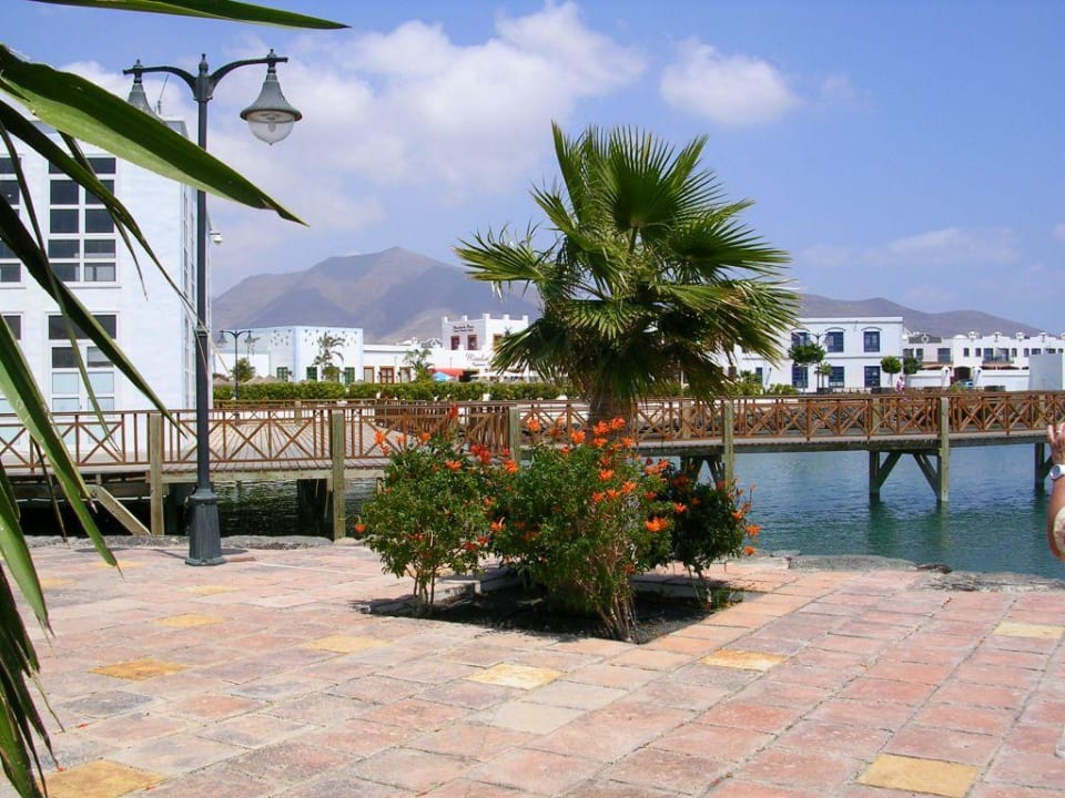 Hafen Marina Rubicon Dreams Lanzarote Playa Dorada Resort & Spa