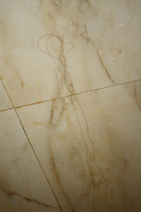 In der Dusche...es hat mich den ganzen Urlaub begl Hotel Titanic Palace