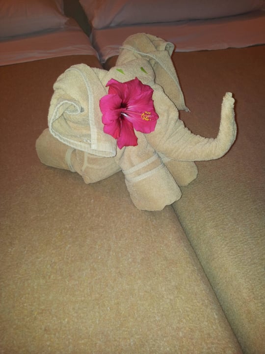 Immer wieder ein Gruß des Zimmermädchens SBH Hotel Taro Beach