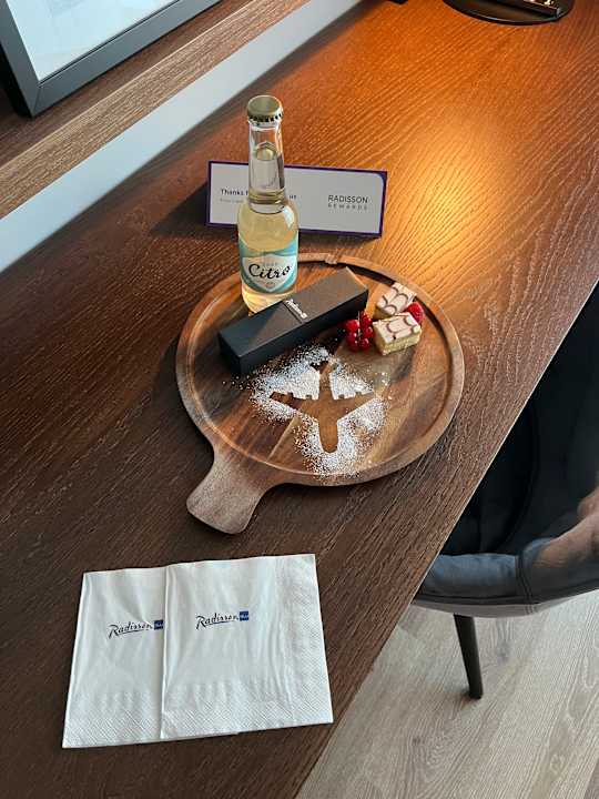 Zimmer Radisson Blu Hotel Zürich Airport