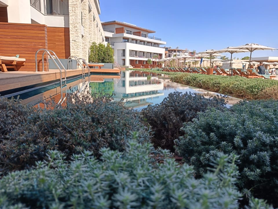 Zimmer Anda Barut Collection