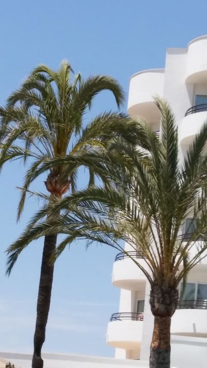 Hotel Hipotels Dunas Cala Millor