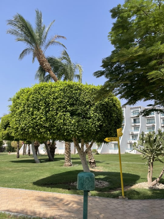 Gartenanlage Shams Safaga Resort