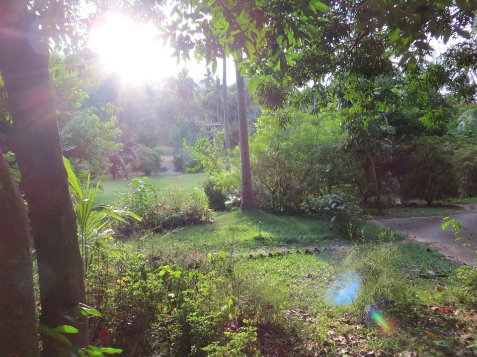 Der Blick in einen kleinen Teil des Gartens The Fair House Beach Resort