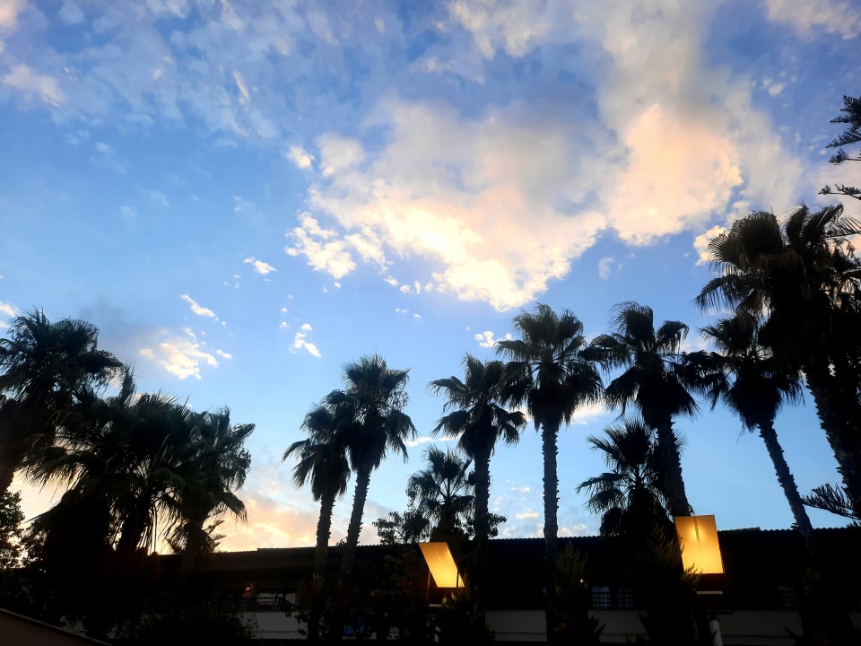 Ausblick allsun Hotel Eden Playa