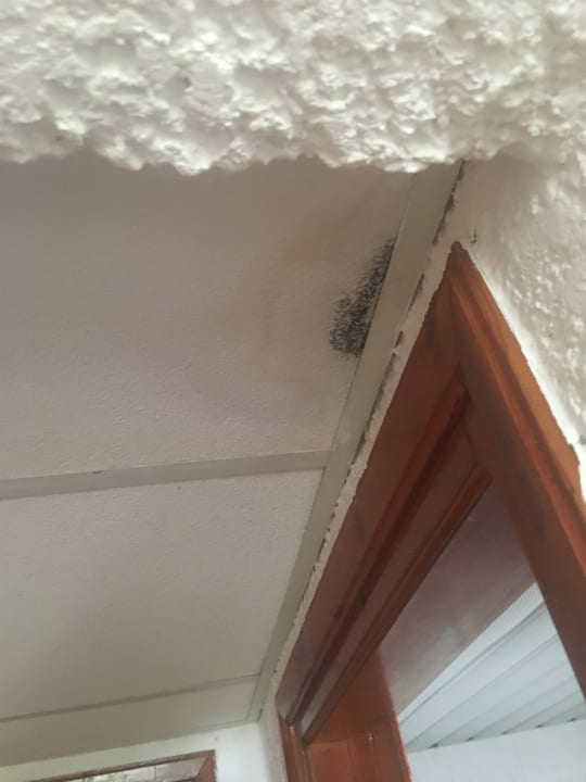 Zimmer Sentido Kyknos Beach Adults Only 16+