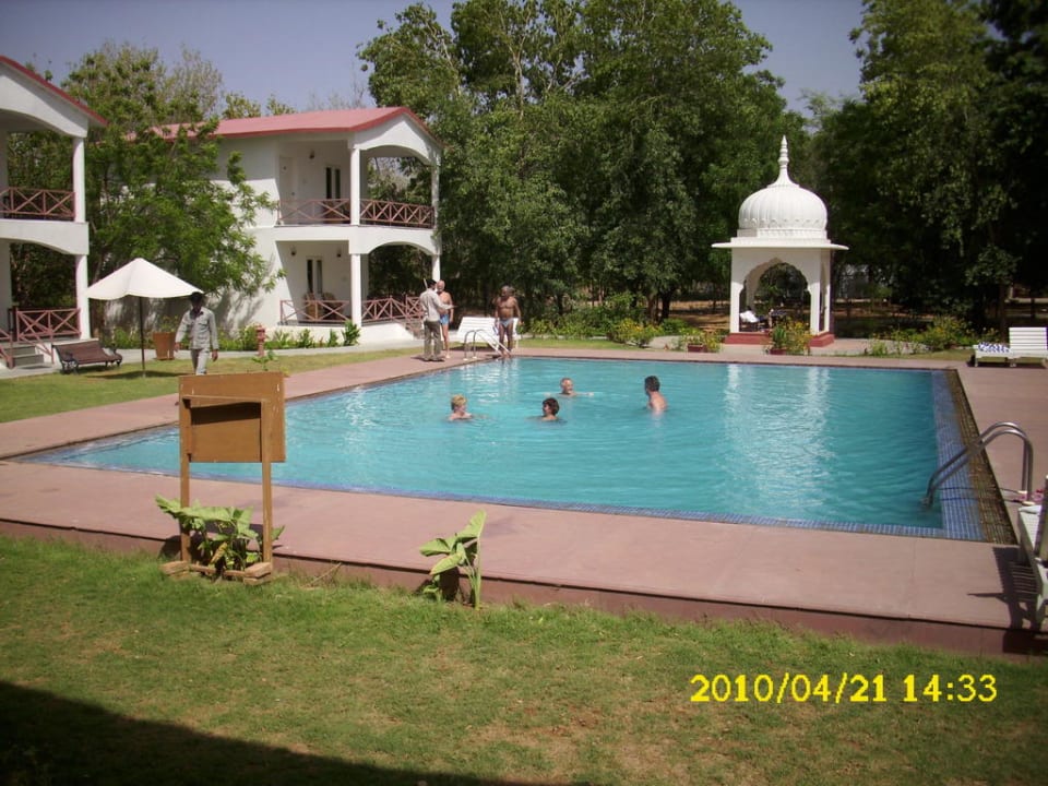 Pool Hotel Tiger Den Resort